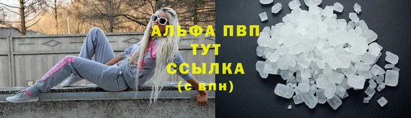 PSILOCYBIN Горно-Алтайск
