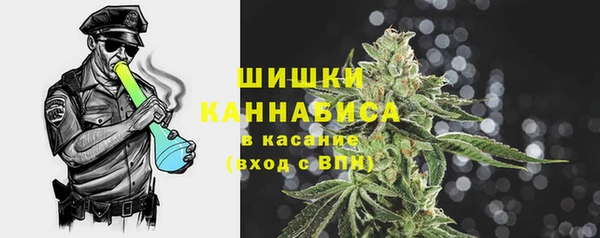 spice Туринск
