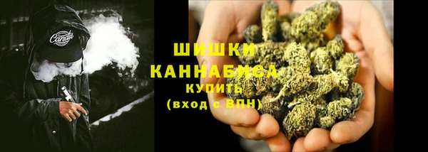 ГАЛЛЮЦИНОГЕННЫЕ ГРИБЫ Инсар