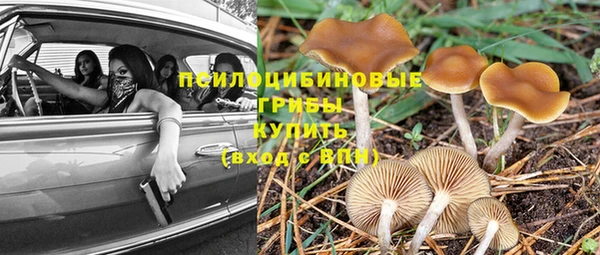 ГАЛЛЮЦИНОГЕННЫЕ ГРИБЫ Вязьма