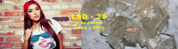 ГАЛЛЮЦИНОГЕННЫЕ ГРИБЫ Вязьма