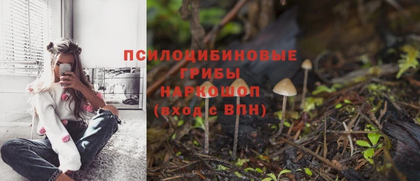 спиды Вязники