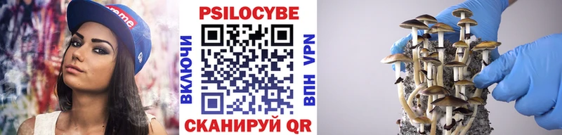 где найти   Лобня  Галлюциногенные грибы GOLDEN TEACHER 